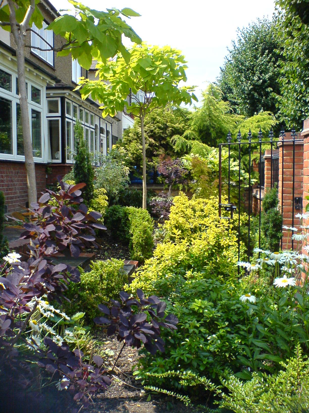 View into the Northbury school garden areas